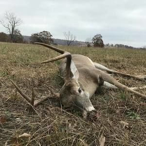 Meet your Posher, Madelyn